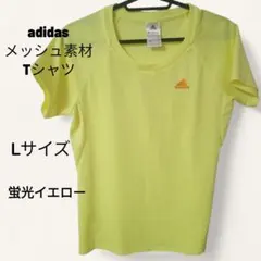 Item thumbnail for item ff2b0e5a-4723-4bc2-a2a1-5d0be4b01e09