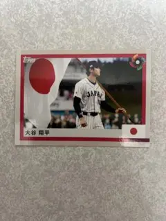 2014年全米オープン男子シングルス決勝プログラム/場内ラジオ