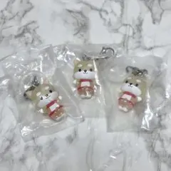 JOCHUM まめちぃ 3個セット めじるしチャーム