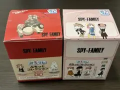 ポケモン 缶バッジ コレクション パルデア編 チリ ナンジャモ