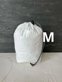 Item thumbnail for item 3f41ae78-02b0-4c11-8c6b-c9127f6d8727