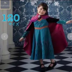 アナと雪の女王エルサ戴冠式ドレス120サイズ　バースデイ