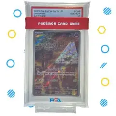 スリープ AR PSA10 専用スリーブ付き