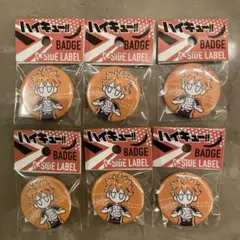 【新品】 ハイキュー　 B-SIDE LABEL 缶バッジ 日向翔陽　6個セット