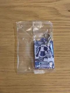 アイカツ だれでもアイドル活動アクリルチャーム3 藤堂ユリカ ゴス
