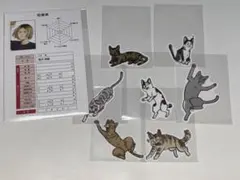 ハイキュー 音駒