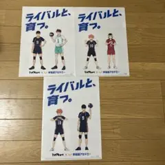 ハイキュー クリアファイル 未使用 新品 3枚