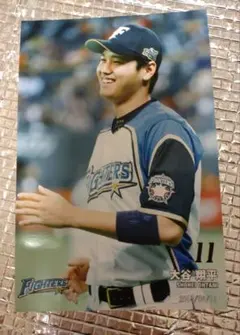 大谷翔平 2015 ハイライトフォト No.386 日本ハム 球団公式写真