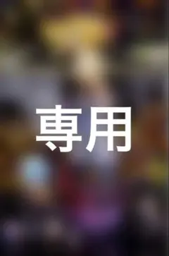 トドー 様専用