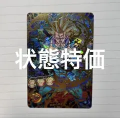 hg9-36 トランクス：未来 SDBH