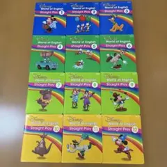 ⭐️値下⭐️DWE ストレートプレイ　Blu-ray 1-12巻セット