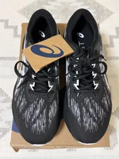 Item thumbnail for item d93d0166-9a91-49ce-8527-296b1ee7b664