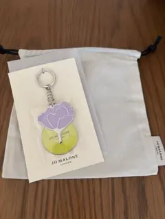 Item thumbnail for item 91eacfe2-432a-4dc8-b60a-b00c928571e2