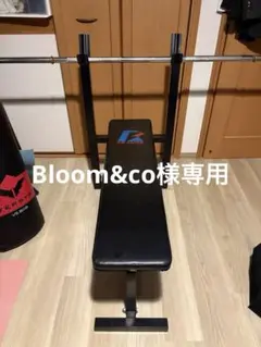 ダイナモ様】バーベルスタンド 高さ幅 耐荷重350kg ホームジム 送料