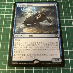 そぞろ歩く嵐甲虫 クリーチャーカード
