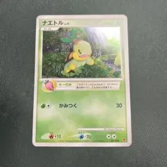 2026年最新】001/PPP ナエトルの人気アイテム - メルカリ