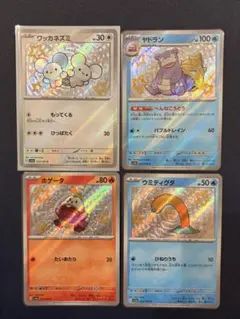色違いS 묶음 판매 シャイニートレジャー