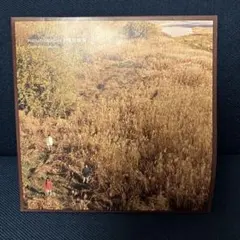 2025年最新】laura day romance レコードの人気アイテム - メルカリ