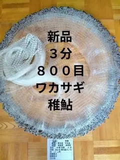 Item thumbnail for item 799ecc95-9136-491b-aa33-e54817589df5