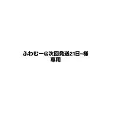 専用ページ