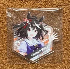 韓国 アニプラス 限定 ウマ娘 2周年 トレーディング缶バッジ キタサン