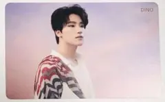 SEVENTEEN 舞い落ちる花びら HMV特典 ディノ