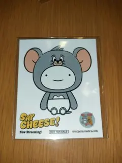 BOYNEXTDOOR SAYCHEESE プネクド ステッカー ウナク