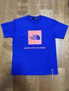 【最終価格】ノースフェイス Tシャツ　Rage