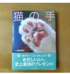 猫の手 板東寛司 写真集