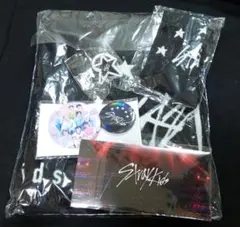 straykids 5-star アップグレード 特典セット