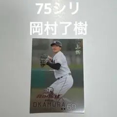75シリ　岡村了樹