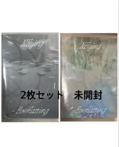 N.Flying Everlasting 2枚組　未開封