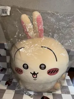 Item thumbnail for item 0a5c19c6-eba9-4b95-b4b1-17ab3b6e5e80