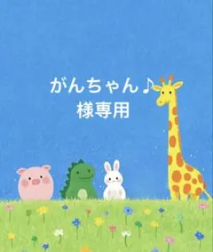 がんちゃん♪様専用