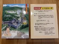 2026年最新】入浴剤 玉川温泉の華の人気アイテム - メルカリ