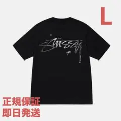 ❗️期間限定SALE❗️STUSSY MERCURY TEE ブラックL
