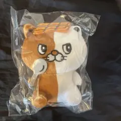 たまご様 リクエスト 2点 まとめ商品