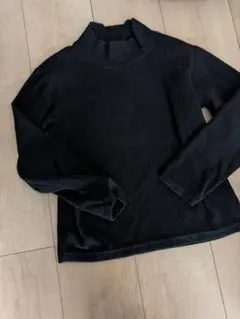 タートルネック 100