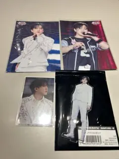 Stray Kids チャンビン ラントレ アクスタ VR dominATE