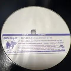 SHAKAZOMBIE BIG BLUE レコード