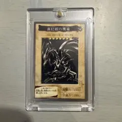 Item thumbnail for item 5885f3bd-a240-4f09-9980-b5830744498a