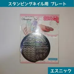 新品 セリア スタンピングネイル用プレート エスニック セルフネイルのサムネイル
