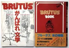 Item thumbnail for item bde05ab7-1841-4146-a1c6-8f8cc4461d34