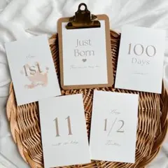 Item thumbnail for item 1c505a87-320d-4954-aacc-67152cb2730c