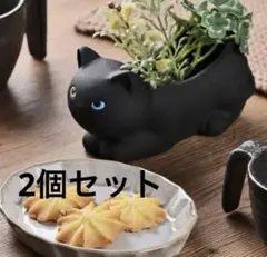 KALDI カルディ　くろねこポット