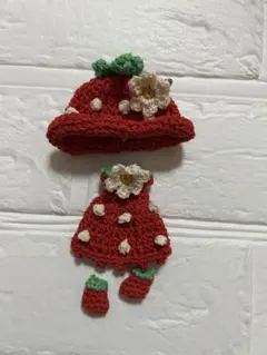 プチブライス　アウトフィット