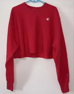 Item thumbnail for item 740323e6-8e55-4ad3-a017-8c3f544fb54a