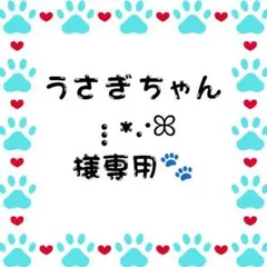 うさぎちゃん様専用☆
