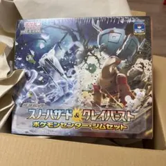 ポケカ引退品　本日限り値引きします。