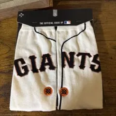 Item thumbnail for item ac72f349-4301-4817-81f0-f49b24513540